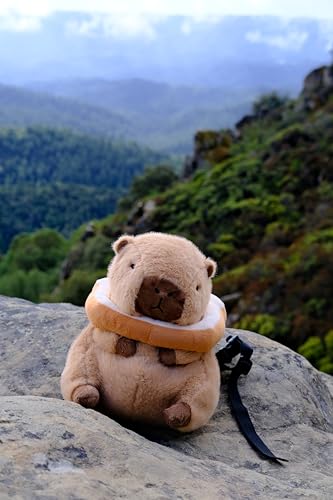 Rock Climbing Chalk Bag – Cute Plush Chalk Bag for Bouldering, Gym, Indoor & Outdoor Climbing – Drawstring Closure, Adjustable Waist Belt – Fun Character Design for Climbers - color: Capybara Bread