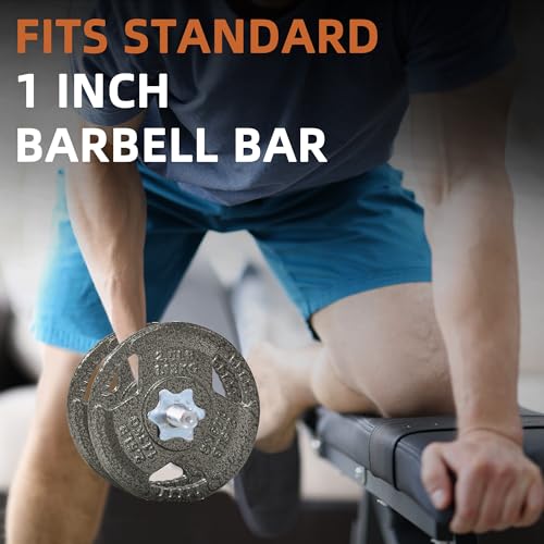 Fitvids 1 Inch Standard Barbell Weight Plates, 2.5 LB to 45 LB Plates for Home Gym Strength Training, Triple-handle Design - style: 2.5LBx 4