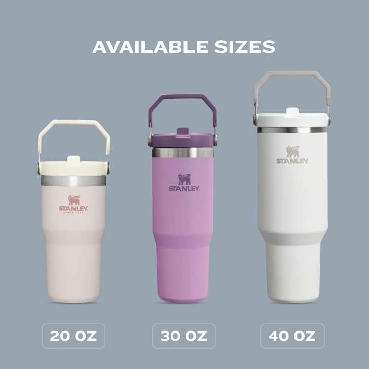 Stanley IceFlow Flip Straw Tumbler with Handle 20 oz | Twist On Lid and Flip Up Straw | Leak Resistant Water Bottle | Insulated Stainless Steel |BPA-Free | Ash - color: Ash, size: 20 Ounces