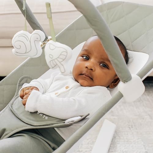 Baby Delight Alpine Deluxe Portable Baby Bouncer | Infant | 0-6 Months | 100% GOTS Certified Organic Cotton Fabric | Organic Sage - color: Organic Sage