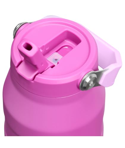 Stanley IceFlow Flip Straw 2.0 Water Bottle 16 OZ | Built-In Straw with Larger Opening | Lightweight & Leak-Resistant | Insulated Stainless Steel | BPA-Free | Dark Blossom - color: Dark Blossom, size: 16 Ounces