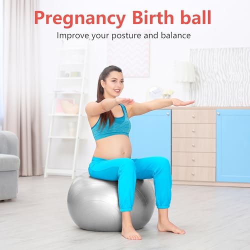 Primasole Exercise Ball for Balance Stability Fitness Workout Yoga Pilates at Home Office & Gym Birthing Ball for Pregnancy, Office Ball Chair - color: Silver Gray, size: 65 cm