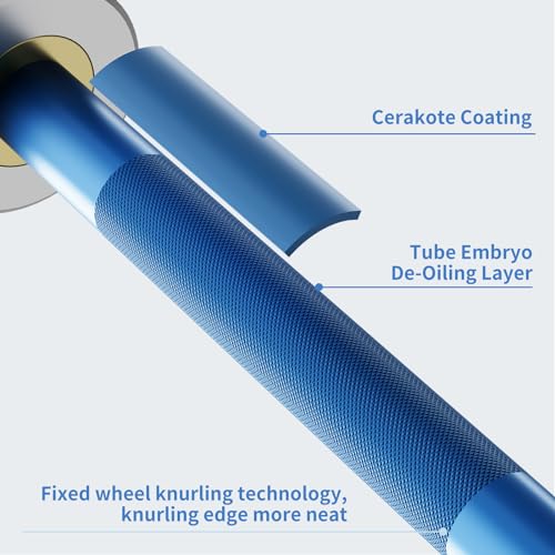 EVERYMATE 5LB Mini Barbell Bar Beginner Women Kid Barbell Total Body Workout Weighted Bar,for Strength Training, for Youth Children New Weightlifting - color: Sliver Sleeves Blue Bar, size: 5LB Mini Barbell