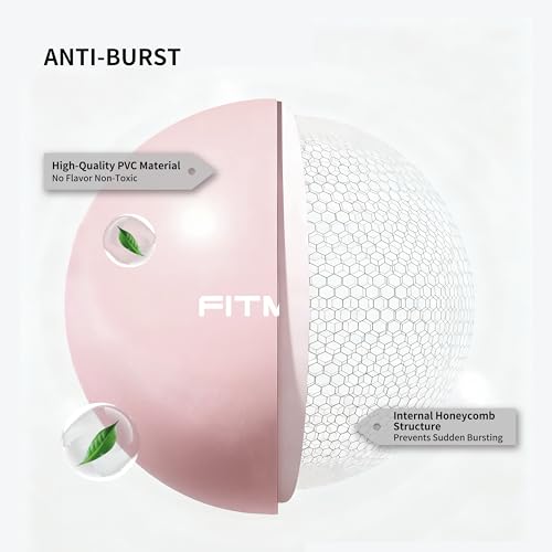 FITMIND_Pilates Ball 10 Inch Anti-Burst Slip Resistant Mini Yoga Ball for Fitness, Core Training, Physical Therapy, Balance, Stability, Stretching 200kg 440lbs Capacity - color: Pink