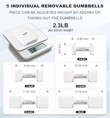 Adjustable Dumbbell Set for Women Men 7.5LB/10LB/15LB/20LB/25LB Pair | Stable Free Weight Hand Weights with Metal Handle for Home Gym Fitness Rehab Pilates Yoga Strength Training Equipments - color: White, size: 25LB SINGLE