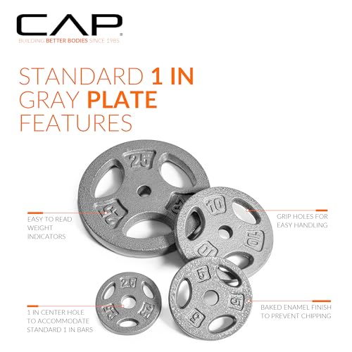 CAP Barbell Standard 1-Inch Grip Weight Plates - color: Gray, size: 5 lbs Plate Pack (x4)