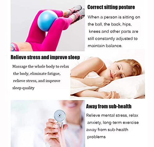 9 Inch Mini Exercise Pilates Yoga Ball, Stability Ball for Yoga Barre Training and Physical Therapy Improves Balance Core Strength with Inflate Pump(6 Pcs)
