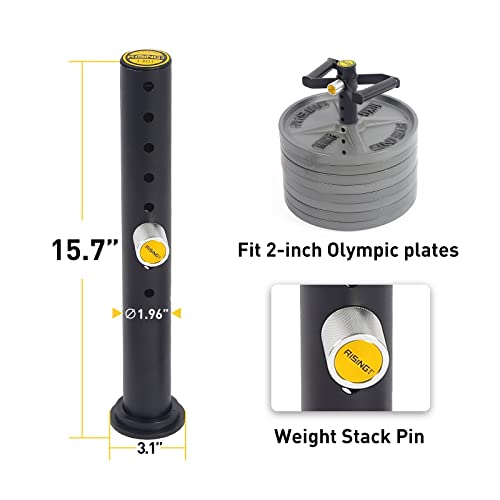 Adjustable Kettlebell Handle,Heavy Duty Kettlebell Handle for Plates,Loading Pin with Double D-bar and T-bar for Olympic Weight Plates