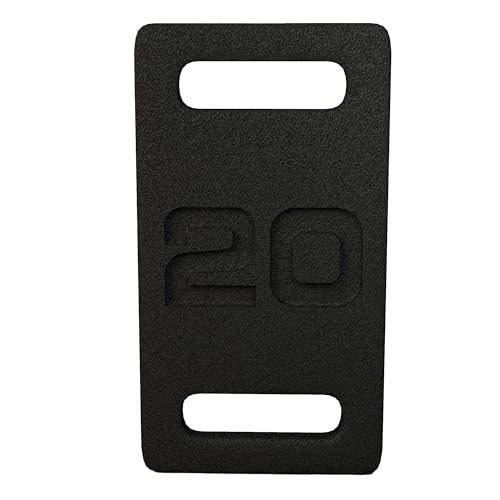 Fitvids Cast Iron Plate, Weighted Plate for Swings, Squat, Strength Training, Fitness Workout, and Home Exercises