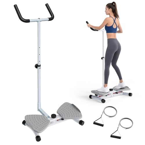 Waist Twisting Machine & Ab Twister Machine - 300 lbs Noiseless Waist Twister Board for Core Exercise, Home Gym Fitness Equipment with Resistance Bands (Women/Men)