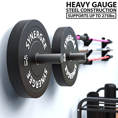 Synergee Weight Plate Pegs – Wall Mounted 2" Plate Holder Double Peg