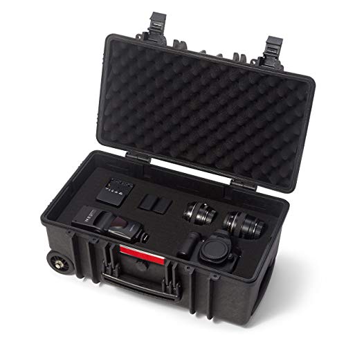 Amazon Basics Hard Protective Camera Case with Wheels, Large, Black, 22"L x 14"W x 9.8"H - size: Large