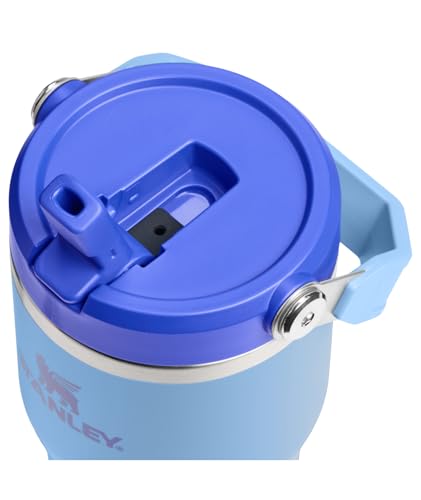 STANLEY IceFlow 2.0 Flip Straw Tumbler with Handle 20 oz | Twist On Lid and Flip Up Straw | Leakproof Water Bottle | Insulated Stainless Steel | BPA-Free | Blue Sky - color: Blue Sky, size: 20 Ounces