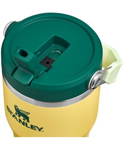 STANLEY IceFlow 2.0 Flip Straw Tumbler with Handle 20 oz | Twist On Lid and Flip Up Straw | Leak Resistant Water Bottle | Insulated Stainless Steel | BPA-Free | Daffodil Emerald - color: Daffodil Emerald, size: 20 Ounces