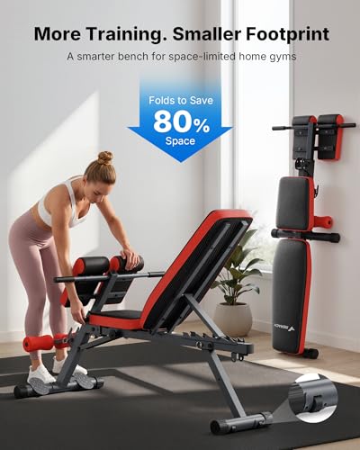MERACH Roman Chair Back Extension, Adjustable Weight Bench, Home Gym Sit Up Bench for Glutes & Ab Workouts, Back Extension Machine, Hyperextension Roman Chair for Lower Back Pain Relief - size: Pro Max