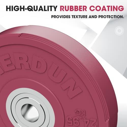FEIERDUN Color Bumper Plate Set, 2-Inch Olympic Weight Plates, Low Bounce Rubber Barbell Plates with Stainless Steel Insert for Weightlifting, Strength Training, CrossFit & Home Gym, 10LB-370LB - style: R) 340LBS SET