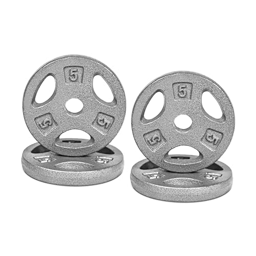 CAP Barbell Standard 1-Inch Grip Weight Plates - color: Gray, size: 5 lbs Plate Pack (x4)