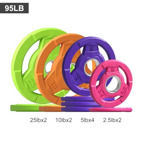 Color Coded 2-Inch Rubber Coated Olympic Grip Plate for Barbell,Solid Cast Iron Weight Plates for Strength Training, Weightlifting, Home Gym, 2.5/5/10/15/25/35/45 LB, Single and Pair - color: 95LB-SET
