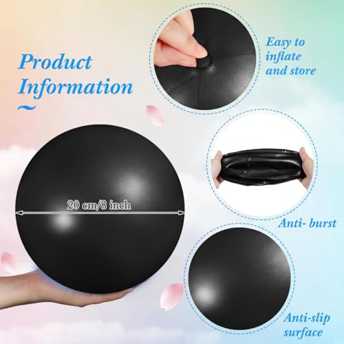 Aoriher 10 Pack 9 Inch Small Pilates Ball Bulk Mini Exercise Ball Portable Non-Slip Workout Yoga Balls with Air Pump for Stability, Barre, Fitness, Balance, Physical &Core, Gym Home Office Use - color: Gray,Black