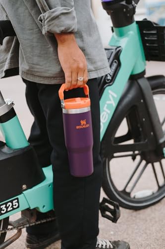 STANLEY IceFlow 2.0 Flip Straw Tumbler with Handle 30 oz | Twist On Lid and Flip Up Straw | Leakproof Water Bottle | Insulated Stainless Steel | BPA-Free | Chalk - color: Chalk, size: 30 Ounces