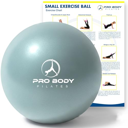 ProBody Pilates Ball 9 Inch - Small Exercise Ball for Stability, Barre, Core, Ab Workouts, Yoga, & Physical Therapy - color: Mist