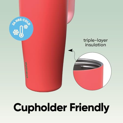 Owala FreeSip Tumbler Stainless Steel Water Bottle 40 oz Strawberry Fields | Triple-Layer Insulation | Leak-Proof Lid with Push-Button | Double Threaded Lid for Left and Right-Handed Drinking - color: Strawberry Fields, size: 40 Ounces