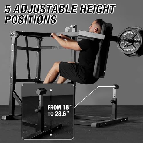GMWD Pendulum Squat Machine, Plate Loaded Hack Squat Machine, Lower Body Strength Training, Leverage Squat Machine Home Gym