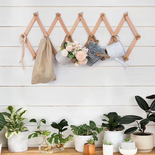 SCUNDA Wall Rack with 16 Hooks, Wooden Wall Expandable Coat Rack for Coat, Hats, Baseball Caps, Coffee Mug, Jewelry(Natural) - color: Natural, size: 16 Hooks