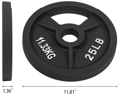 Fitvids 2-Inch Olympic and 1-Inch Standard Cast Iron Weight Plate for Strength Training & Weightlifting, Multiple Weights Available - color: Olympic (2-Inch Center), style: 25LB Pair