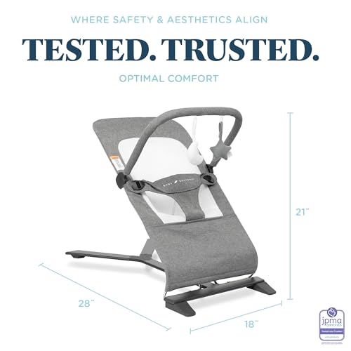 Baby Delight Alpine Deluxe Portable Bouncer | Infant | 0 – 6 months | Charcoal Tweed - color: Charcoal Tweed