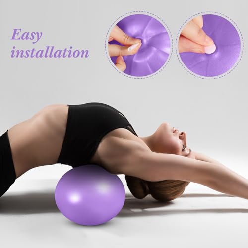 Aoriher 10 Pack 9 Inch Small Pilates Ball Bulk Mini Exercise Ball Portable Non-Slip Workout Yoga Balls with Air Pump for Stability, Barre, Fitness, Balance, Physical &Core, Gym Home Office Use - color: Blue,Purple