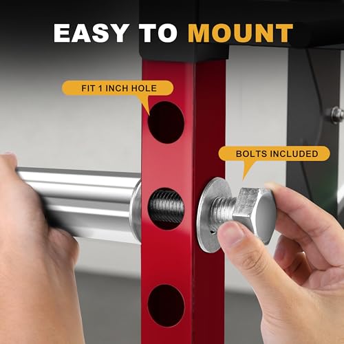 EVERYMATE Weight Plate Holder Power Rack Attachment 2 Inch Olympic Plate Storage Power Squat Rack Holder Weight Plates for 2x2 3x3 2x3 Power Cage Accessories Weight Plate Rack - color: C-1" hole(2pack)-Stainless Steel
