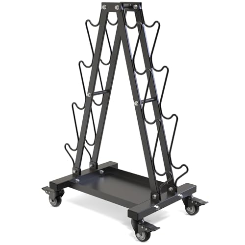 Kipika Heavy Duty Dumbbell Rack Multifunctional, Weight Rack for Dumbbells, Home Gym Equipment, Suitable for Storage of Dumbbell, Kettle Bell, Barbell Plate, Barbell Bar (4 Tier Tilt Shelf)
