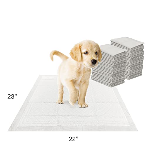 Four Paws Wee-Wee Super Absorbent Unscented Pee Pads for Dogs & Puppies with Insta-Rise Border, Leak-Proof Dog Housebreaking Potty Training Floor Protection, 22" x 23", 50 Count - size: 50 Count