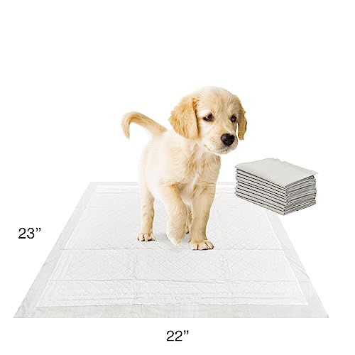 Four Paws Wee-Wee Super Absorbent Unscented Pee Pads for Dogs & Puppies with Insta-Rise Border, Leak-Proof Dog Housebreaking Potty Training Floor Protection, 22" x 23", 10 Count (Pack of 3) - size: 22" x 23" (Pack of 3)