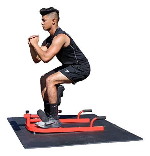 Iron Bar Deluxe Multi-Function Deep Sissy Squat Bench 8-in-1 Home Gym Workout Station Leg Exerciser for Strong Quads/Glutes + 2 Handles, Ab Core Workout Training Push Up Sit Up Exercise Machine Red