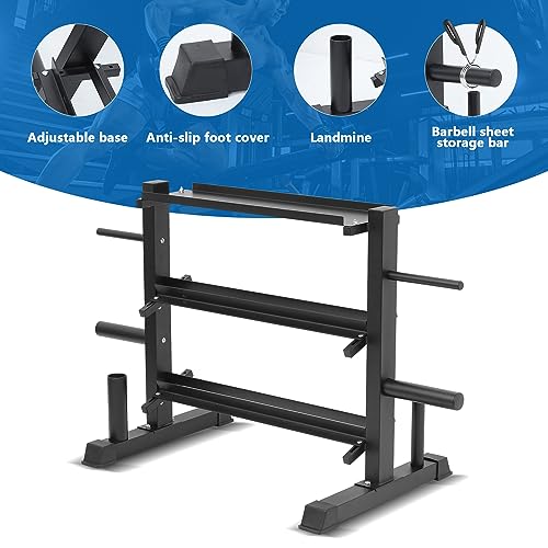 Adjustable Dumbbell Rack, Organizer Stand, Storage Rack for Kettlebells