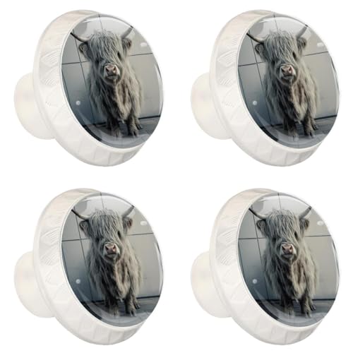 4 Pack White Cabinet Knobs, Baby Highland Cow Drawer Handles for Cabinets, Dresser, Cupboard, Bathroom, Bedroom, Kitchen Hardware Closet Door Knob - color: Baby Highland Cow