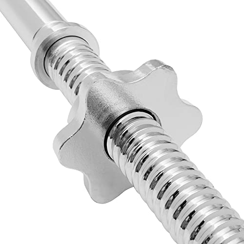 Philosophy Gym 1" Standard EZ Curl Barbell - Threaded Weightlifting Bar with Star Collars