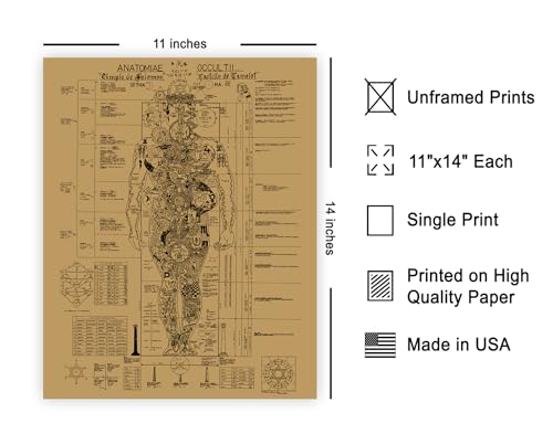 Poster Master Vintage Occult Anatomy Poster - Retro Human Body Print - Occult Art - Halloween Art - Gift for Men & Women - Gothic Wall Decor for Living Room, Bedroom or Dorm - 11x14 UNFRAMED Wall Art - color: Style-03, size: 11"L x 14"W