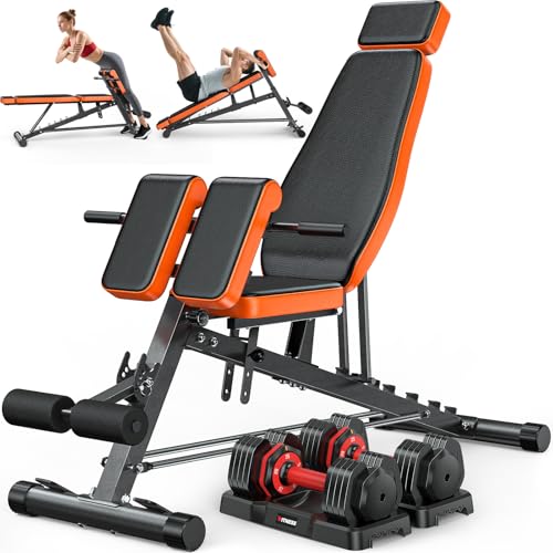 XDDIAS Roman Chair, Adjustable Weight Bench Back Extension Machine for Home Gym, 1000LBS All-in-One Sit Up Bench with Dumbbell Rack, Incline, Decline, and Flat Bench for Hyperextension, Core, Glute - color: Black+a pair of 25LB Dumbbells