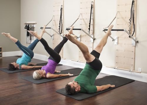 Balanced Body Pilates Springboard, Wall Mounted Pilates Workout Equipment for Home Gym or Studio Use, Pilates Exercise Equipment with Resistance Springs - color: Blue (Light Resistance Springs)