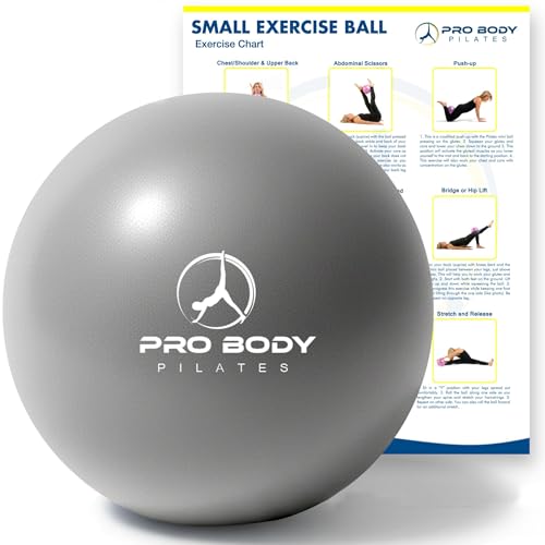 ProBody Pilates Small Exercise Ball - 9 Inch Workout Ball for Stability, Barre, Yoga, Core & Physical Therapy - color: Silver