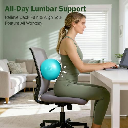 Slim Panda Pilates Ball, 9 Inch Small Exercise Ball, Anti Burst Mini Yoga Ball for Stability, Workout, Barre, Core Strength, Physical Therapy, Balance, Stretching - color: Lake Blue & Lavender