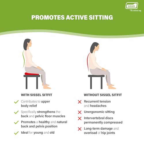 SISSEL SITFIT 14in Red | Active Sitting & Training | Strengthens Back & Pelvic Floor Muscles | Versatile Use: Legs & Veins | Adjustable Pressure | Includes Exercise Poster - color: Red