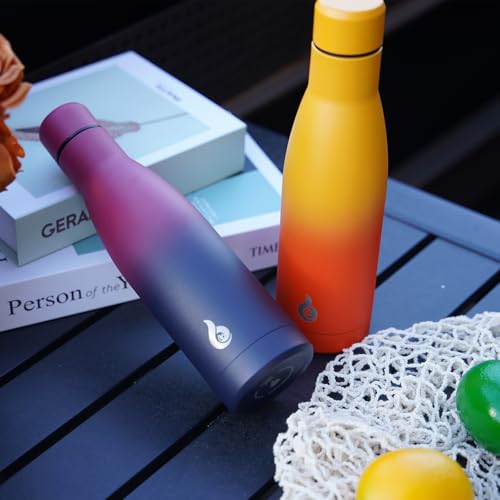 BJPKPK 25oz Insulated Stainless Steel Water Bottles Reusable Metal Travel Sports Water Bottle Keep Cold and Hot,Laguna - color: Laguna, size: 25 Ounces