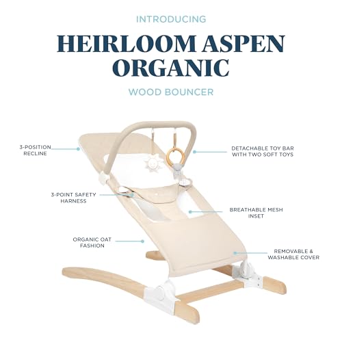 Baby Delight Heirloom Aspen Wooden Baby Bouncer | Infant Baby Chair | 0 – 6 Months | 100% GOTS Certified Cotton Fabrics | Organic Oat - color: Organic Oat, Aspen Wood