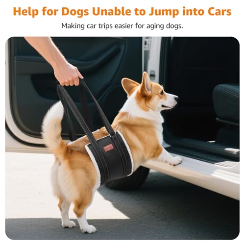 LOOBANI Portable Dog Sling for Back Legs, Hip Support Harness to Help Lift Dogs Rear for Canine Aid and Old K9 Cruciate Ligament Rehabilitation - color: Black, size: Medium