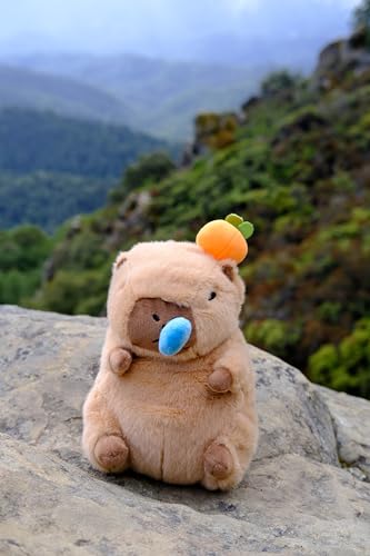 Rock Climbing Chalk Bag – Cute Plush Chalk Bag for Bouldering, Gym, Indoor & Outdoor Climbing – Drawstring Closure, Adjustable Waist Belt – Fun Character Design for Climbers - color: Capybara orange