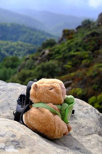 Rock Climbing Chalk Bag – Cute Plush Chalk Bag for Bouldering, Gym, Indoor & Outdoor Climbing – Drawstring Closure, Adjustable Waist Belt – Fun Character Design for Climbers - color: Capybara Turtle